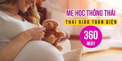 Mẹ học thông thái - Thai giáo toàn diện 360 ngày - Trần Hoa